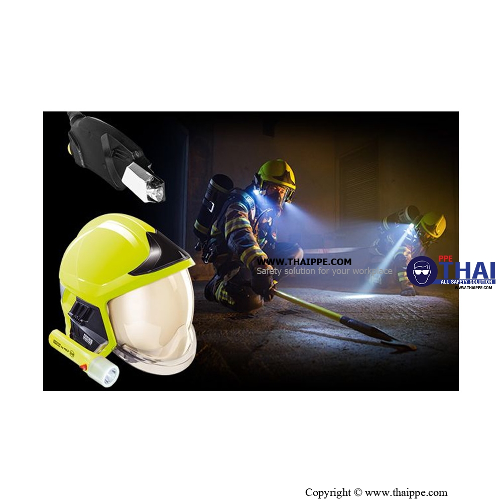 Helmet, F1XF, M, Yellow, Black Plate [GXM2111300360-JD16]